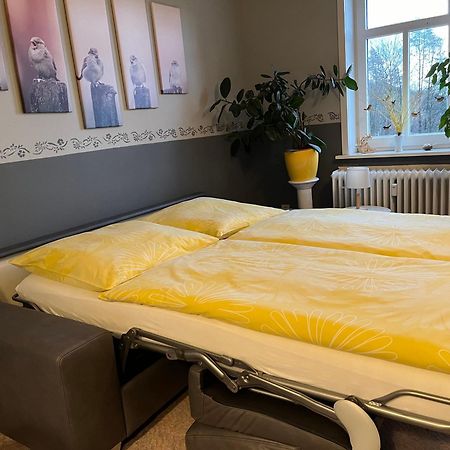 Der Falkenhorst Bad Sachsa Zewnętrze zdjęcie